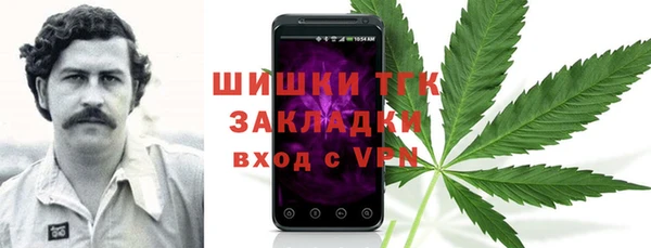 тгк Богородицк